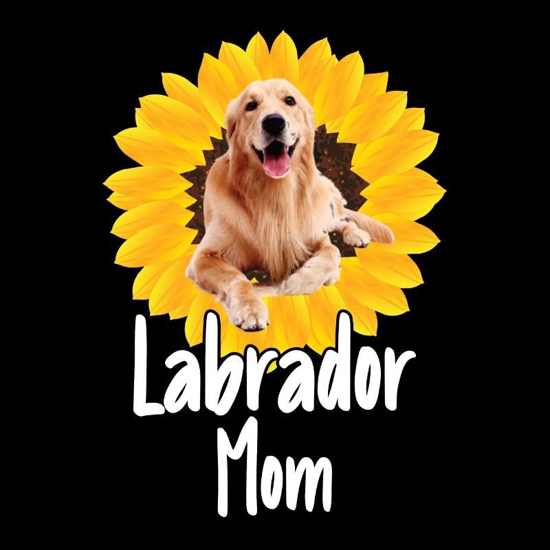 Mutter Sunflower Labrador Retriever Hund