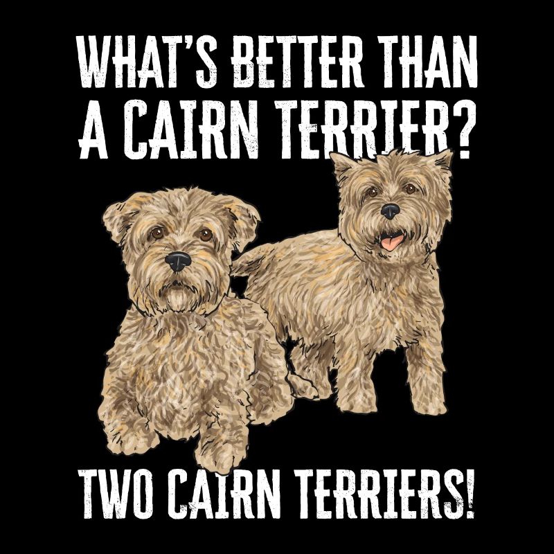 Cairn Terrier Dog