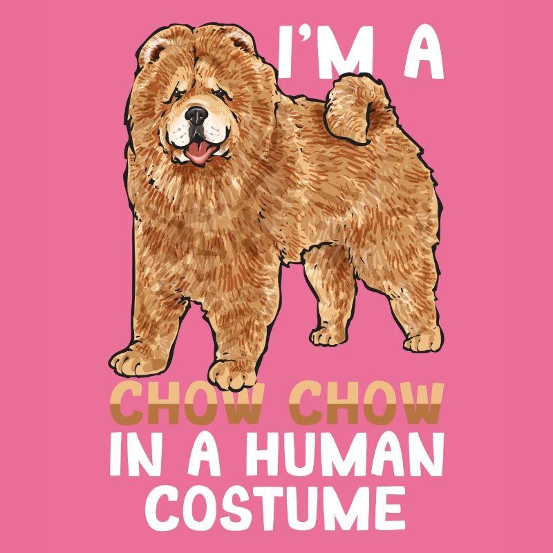 Chow Chow Hund