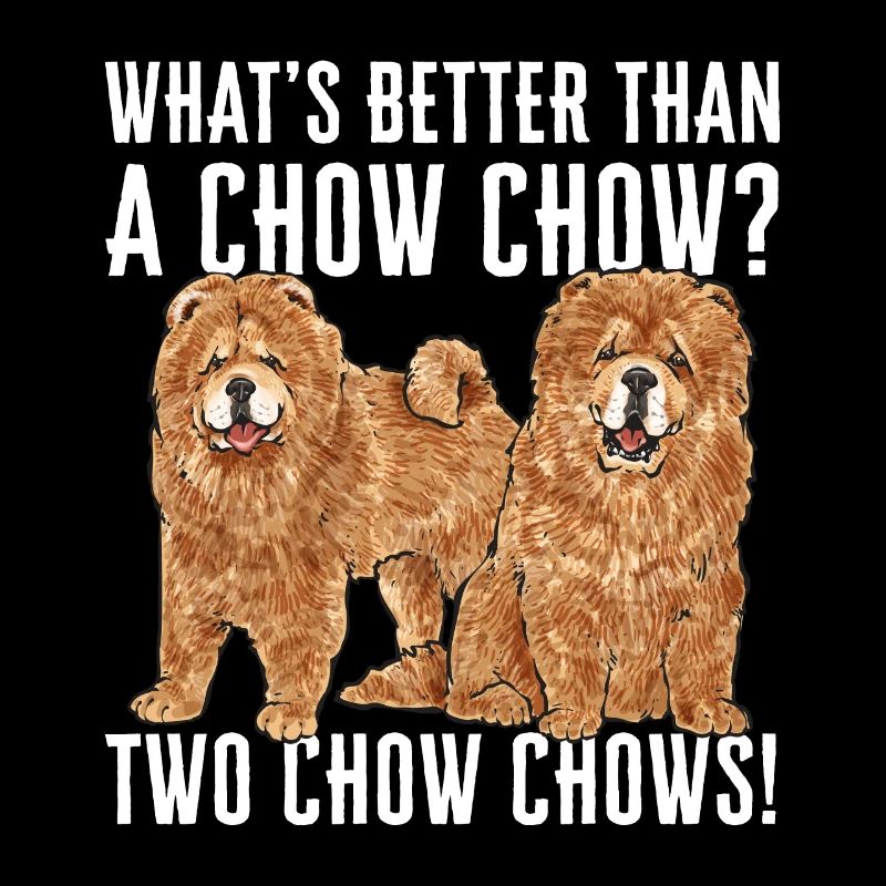 Chow Chow Hund