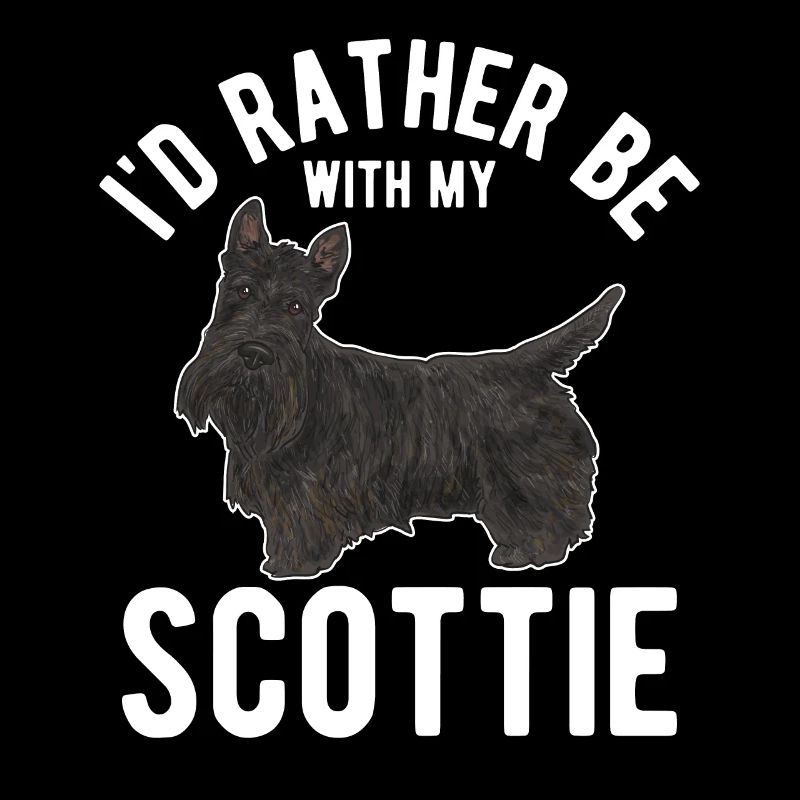 Scottish Terrier Scottie Hund