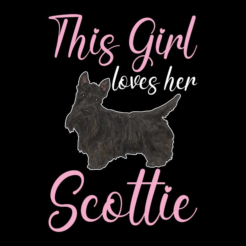 Scottish Terrier Scottie Hund