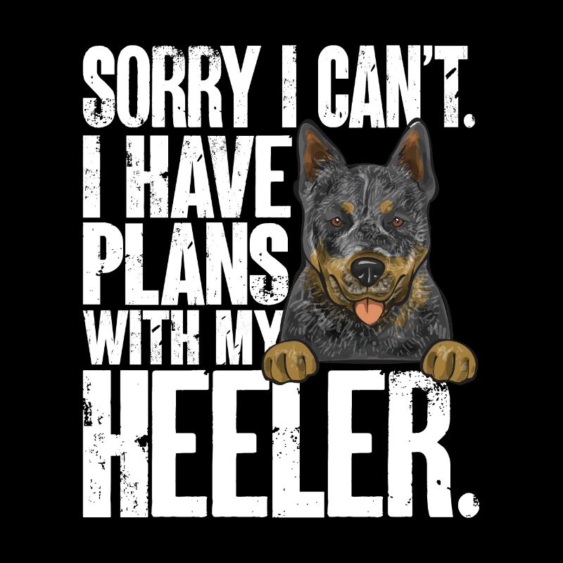 Australian Cattle Dog Red Blue Heeler