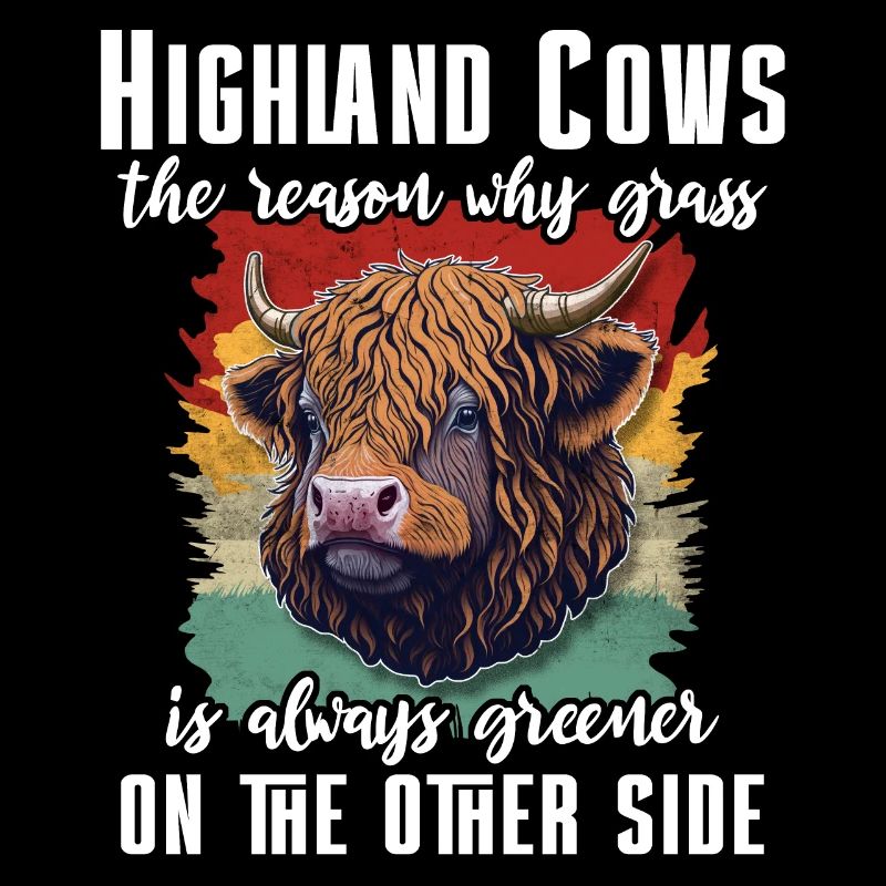 Highland cattle cattle