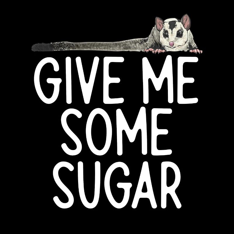 Kurzkopfgleitbeutler Sugar Glider
