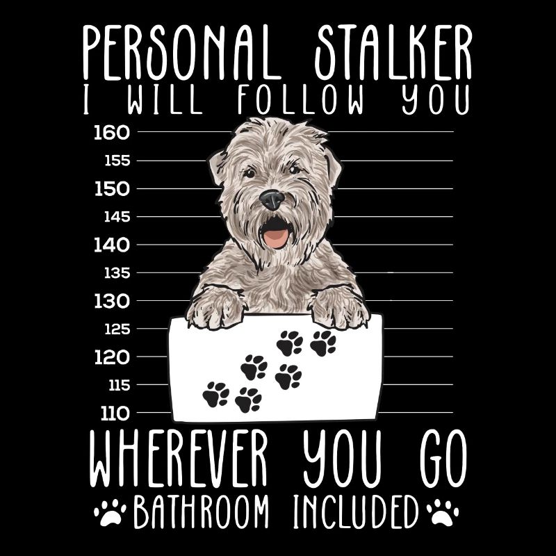 Irish Soft Coated Wheaten Terrier