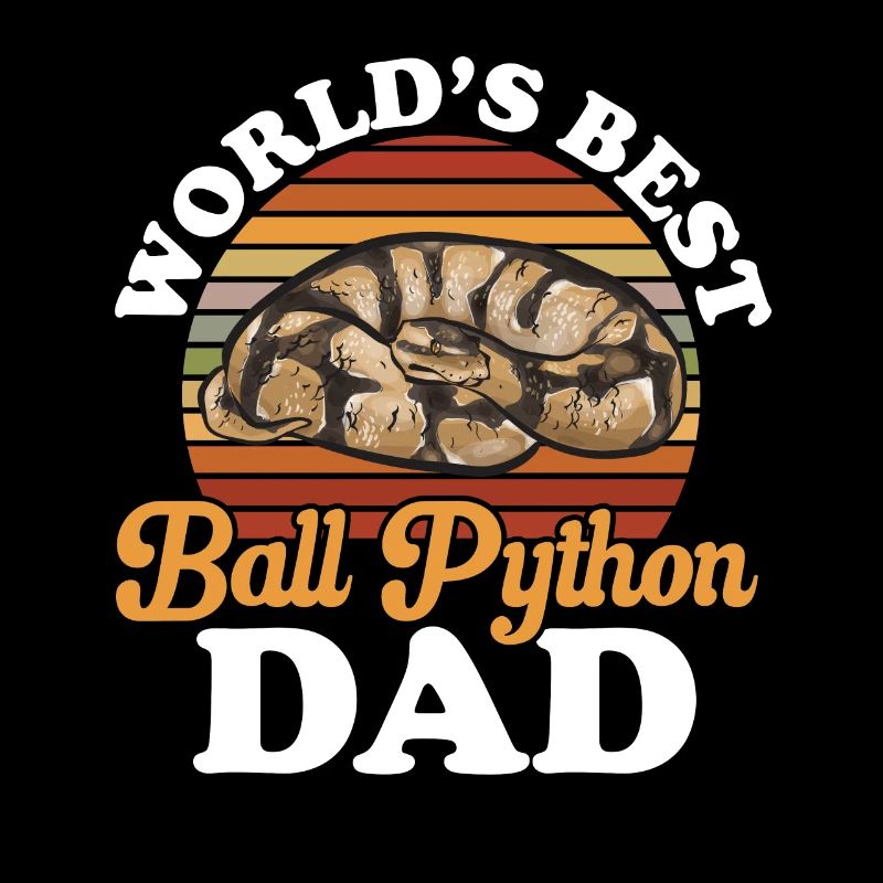 Ball Python Schlange Königspython