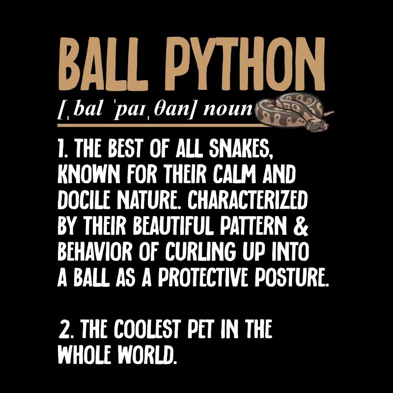 Ball Python Schlange Königspython