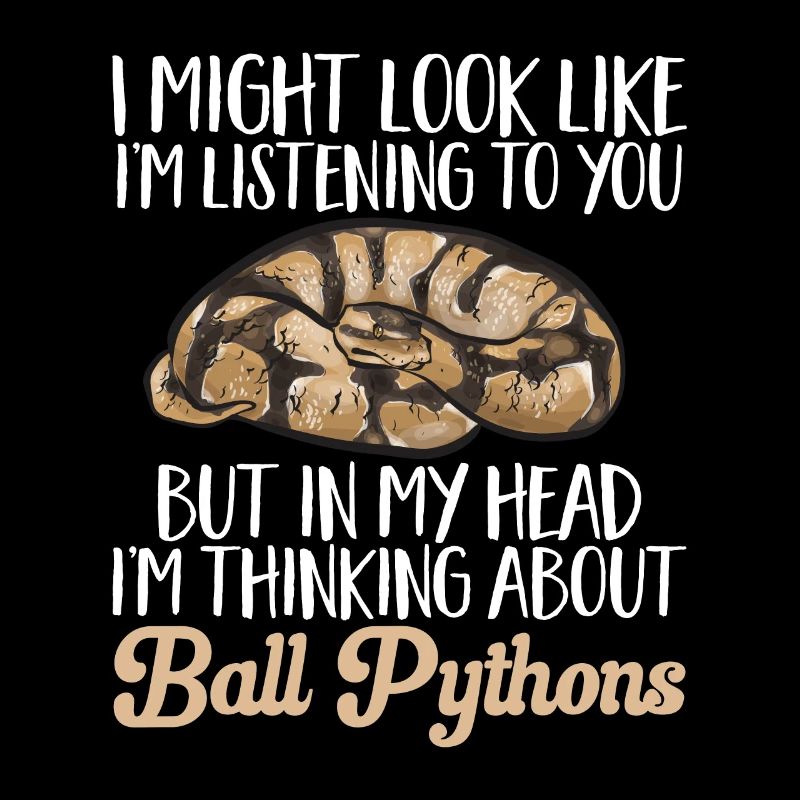 Ball Python Schlange Königspython