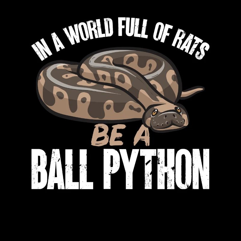 Ball Python Schlange Königspython