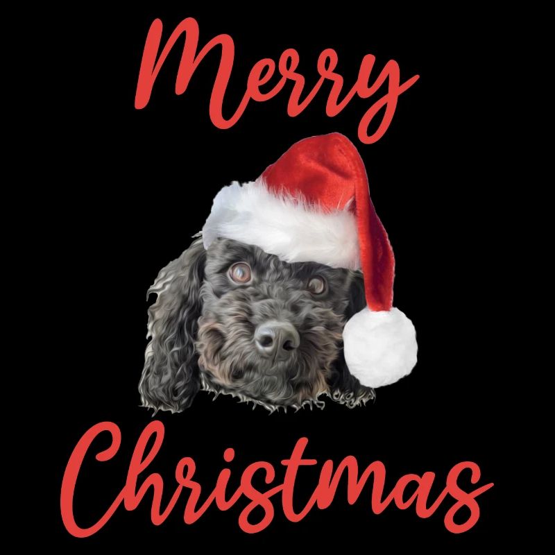 Caniche de Noël Joyeux Noël