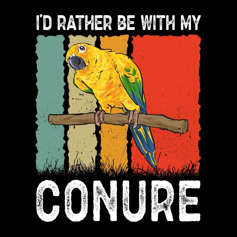 Perruche Perroquet Perruche Oiseau