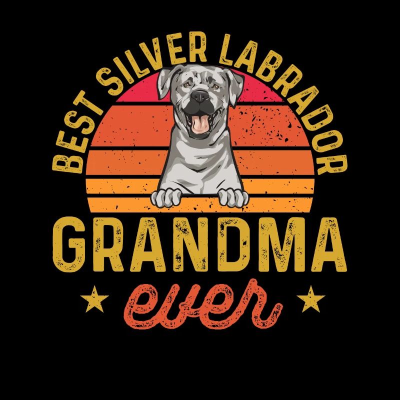 Silver Labrador Retriever Silver Lab