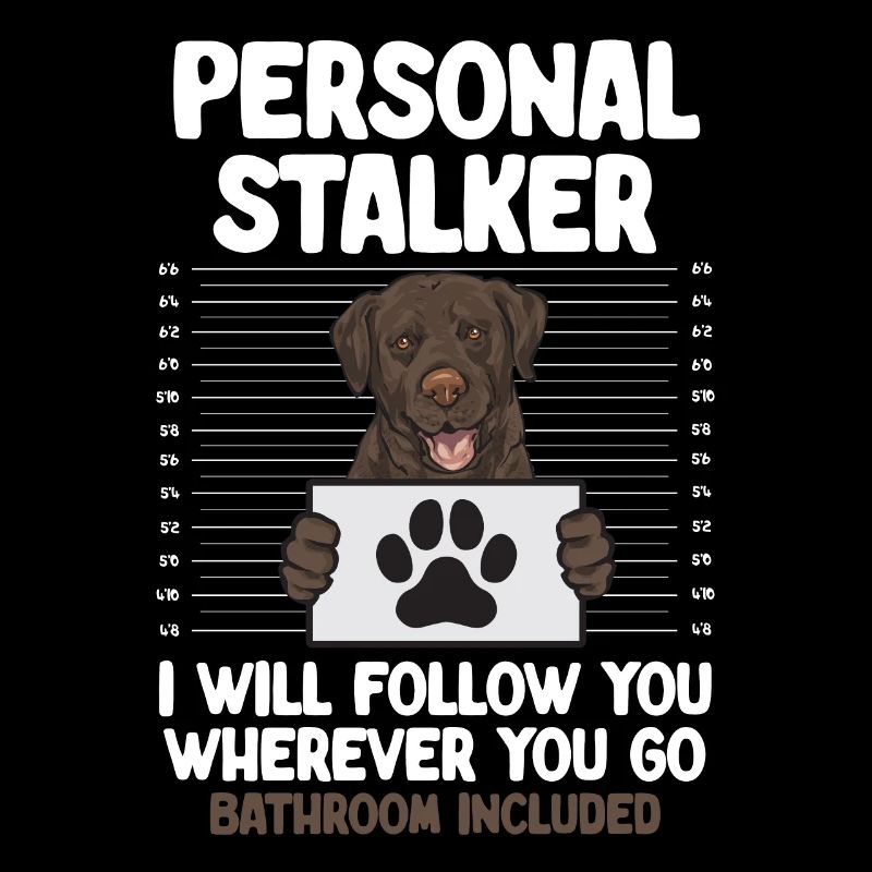 Schoko Brauner Labrador Retriever Hund