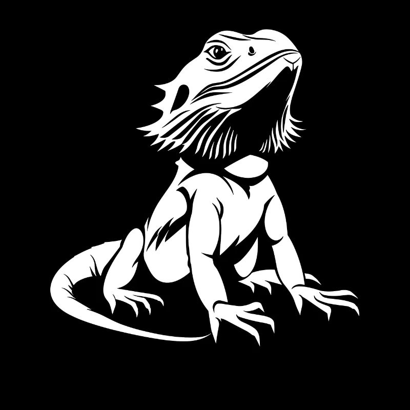 Dragon barbu