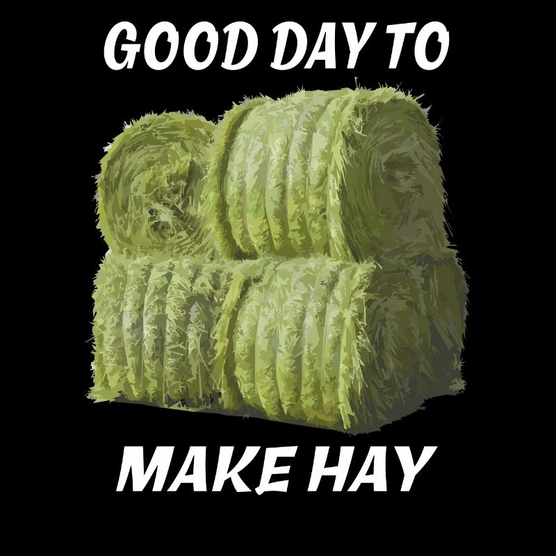 GOOD DAY TO MAKE HAY