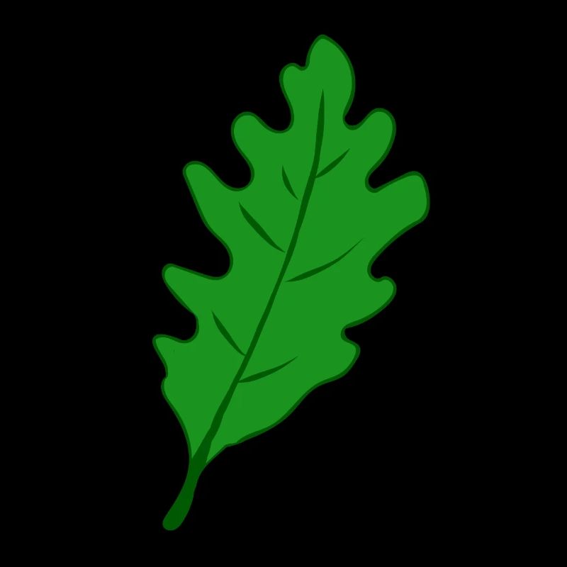 Eiche - Eichenblatt