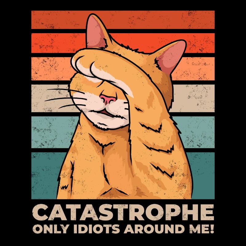 Cat Disaster Everywhere Idiots Drôle