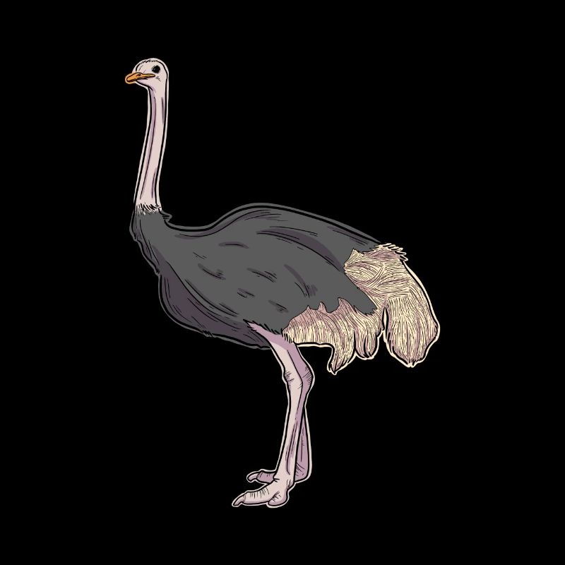 Struts illustration