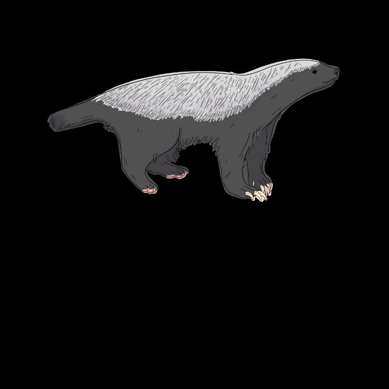 Honigdachs Illustration