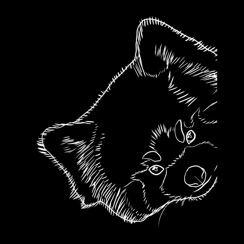 Panda rouge de Stroke