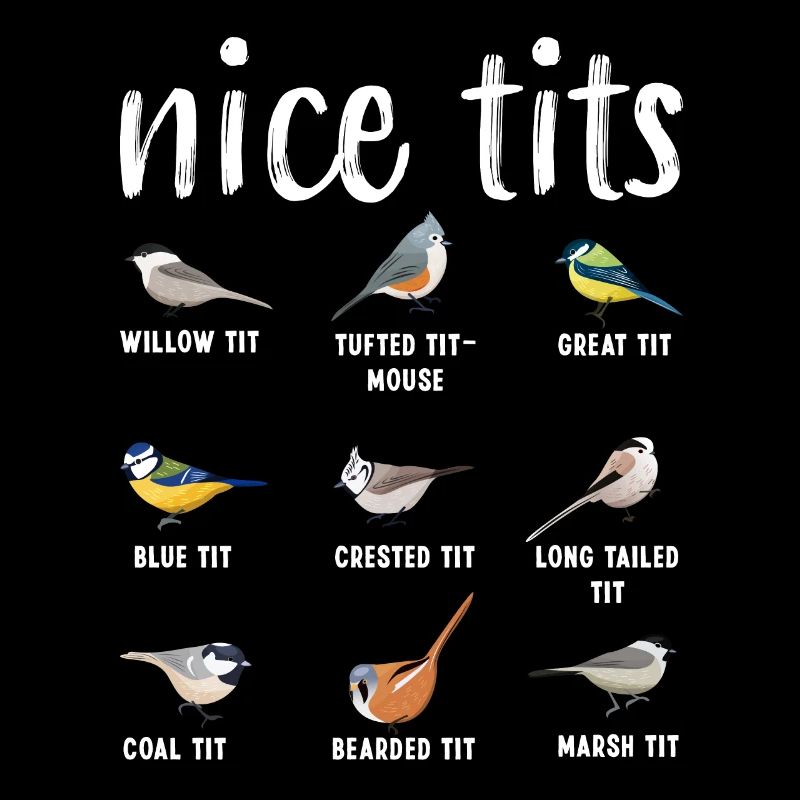 Bird watching Gift Funny Ornitology - Nice tits