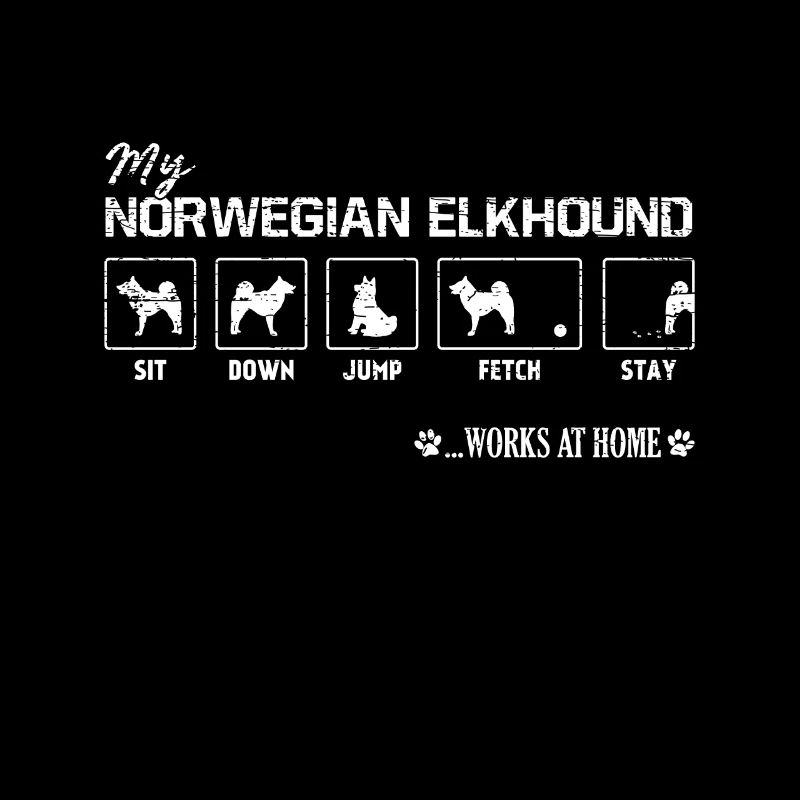 Norwegischer Elchhund