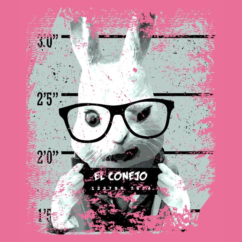 Prison rabbit funny