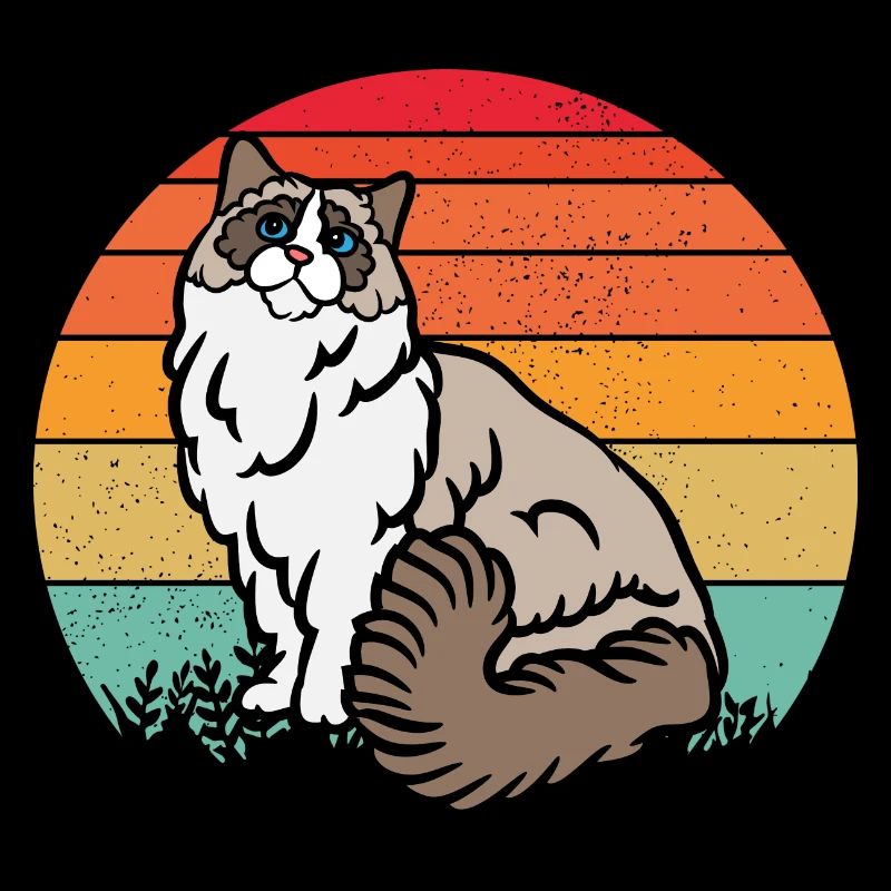 Chat RAGDOLL rétro