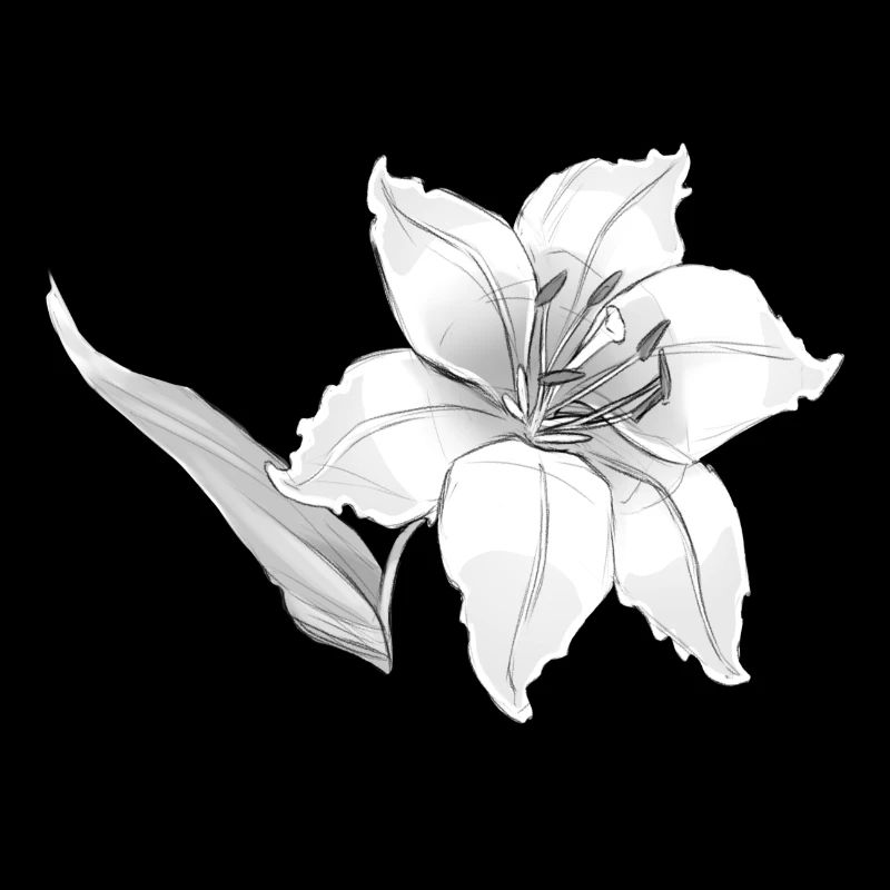 Lily