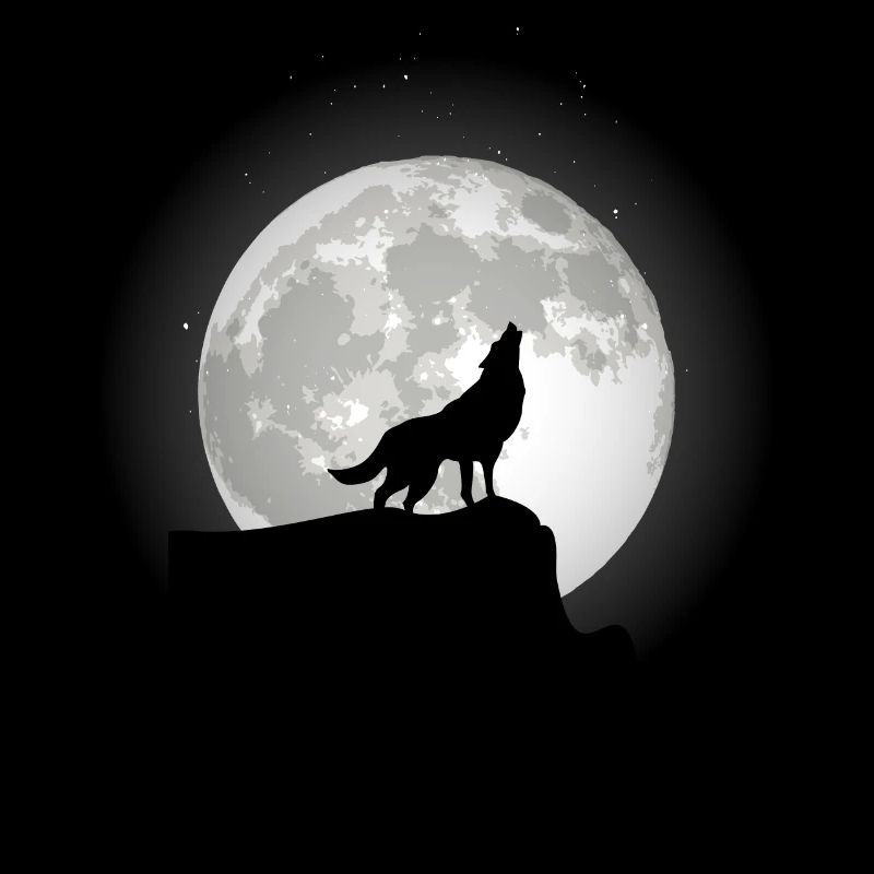 Loup sur un rocher au clair de lune.