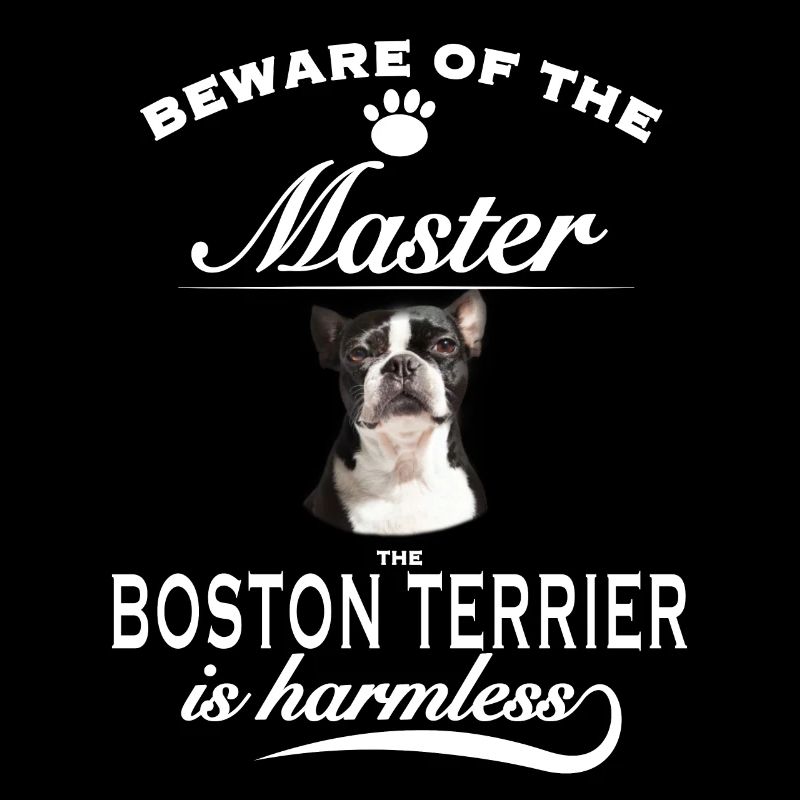 Beware of the master, harmless Boston Terrier