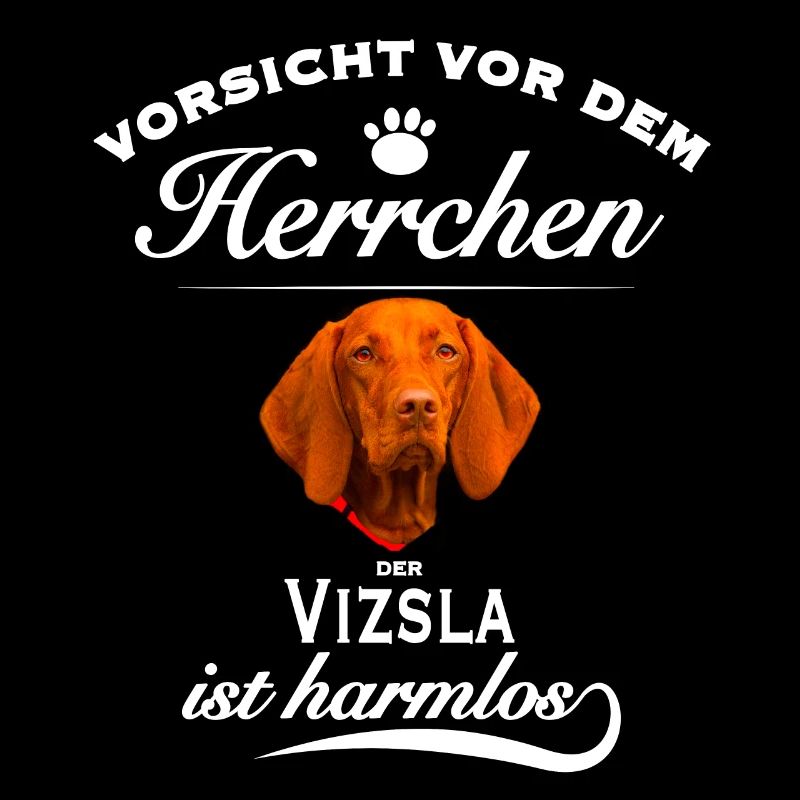 Vorsicht vor dem Herrchen, harmlos Vizsla