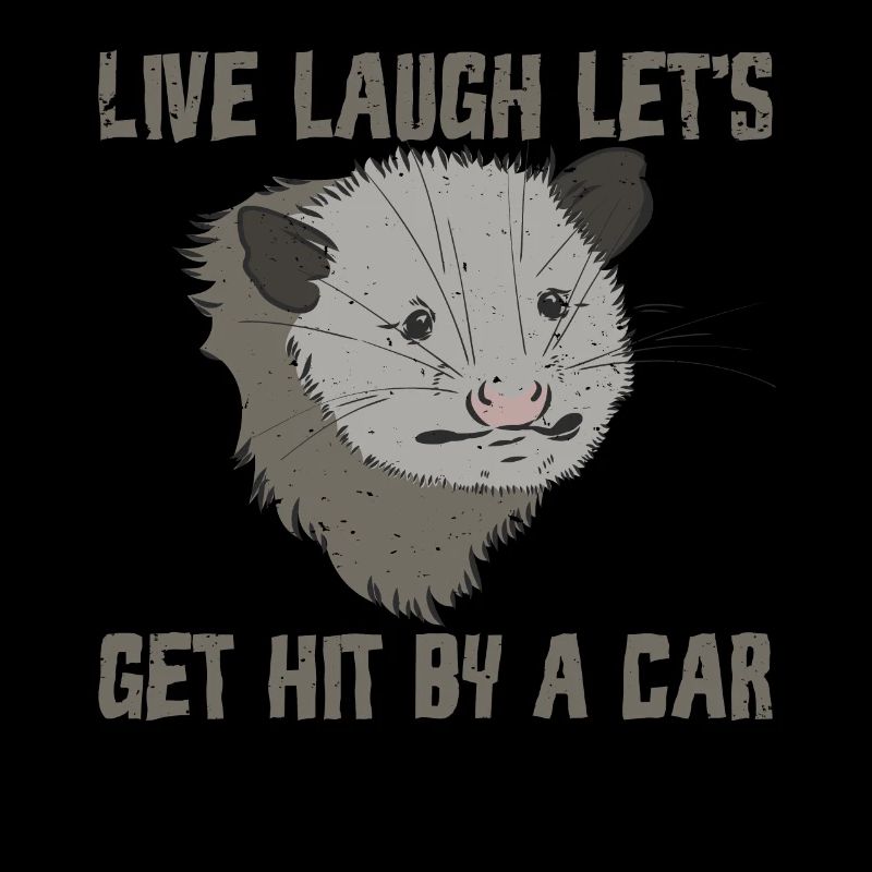 Live-Lachen Lass uns von einem Auto getroffen werden Opossum Opossum