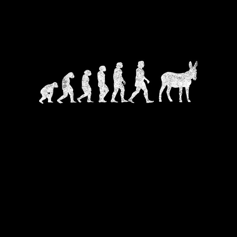 Donkey Mules Mules Mulis Evolution