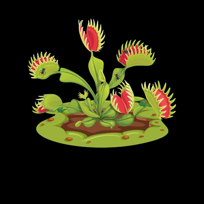Piège à mouches de Vénus Carnivore