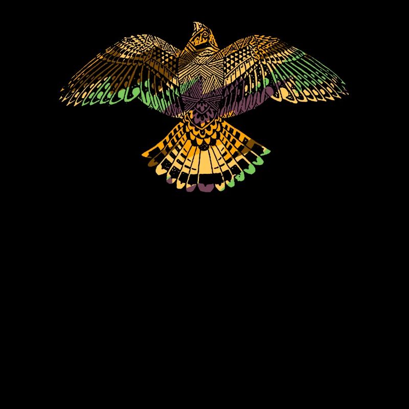 Eagle Hawk American Indian Native Animal