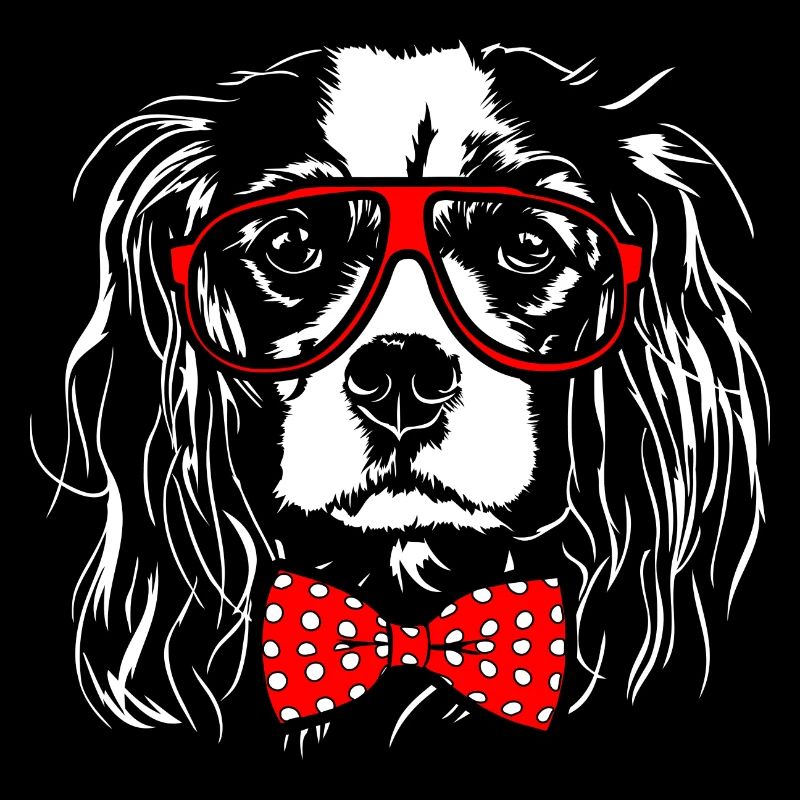 CAVALIER KING CHARLES SPANIEL Junge Wilsigns Hunde