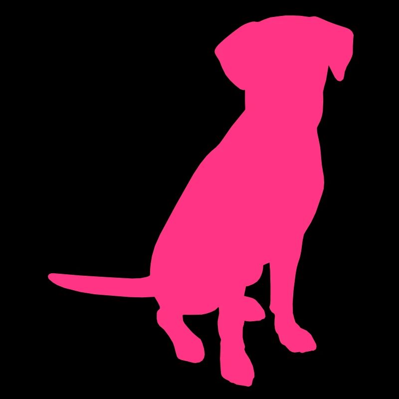 Labrador