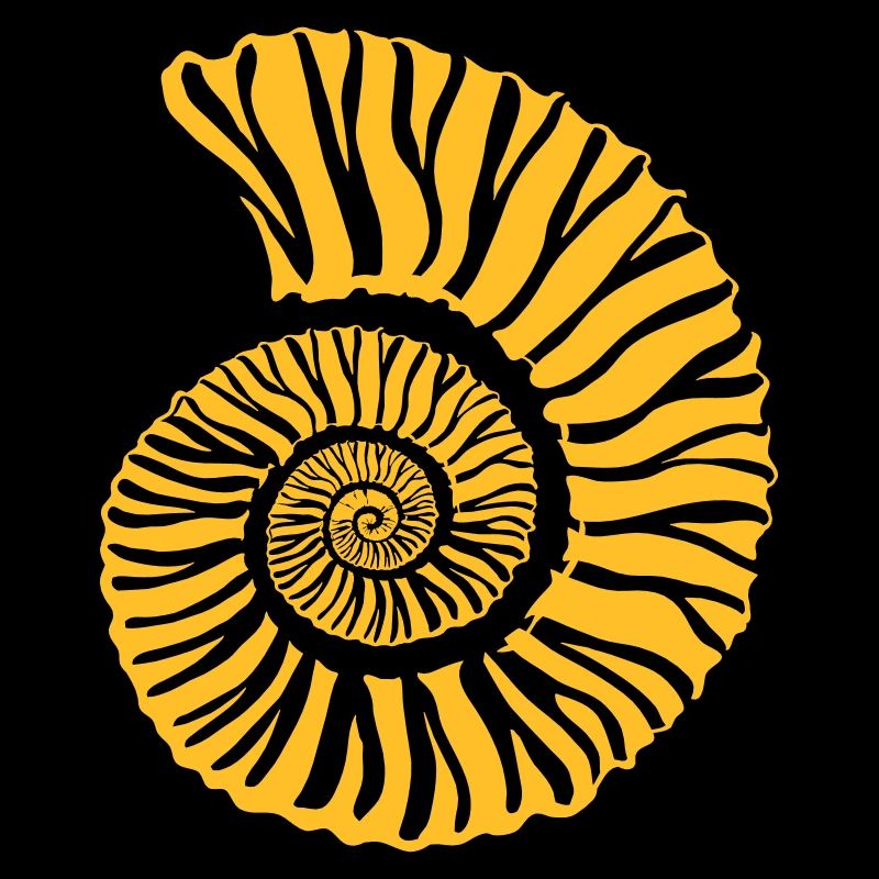 Fossile Ammonite