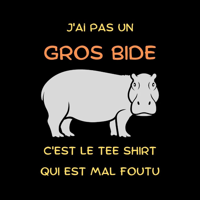 J'ai pas un Gros Bide