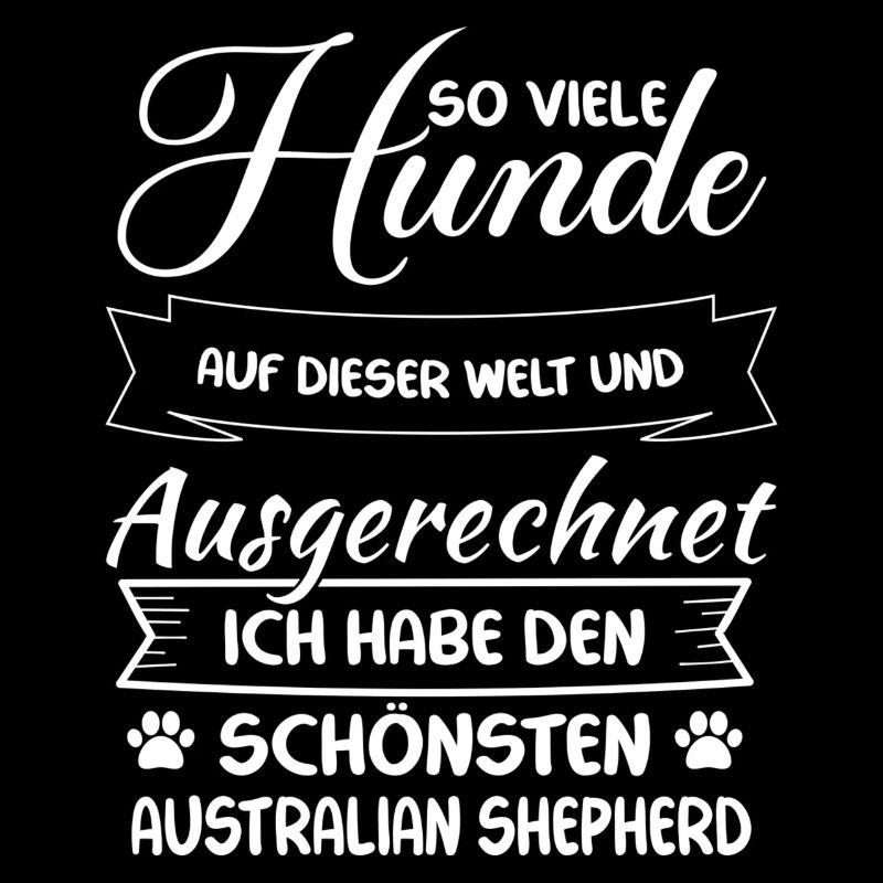 Schönster Australian Shepherd- Australian Shepherd