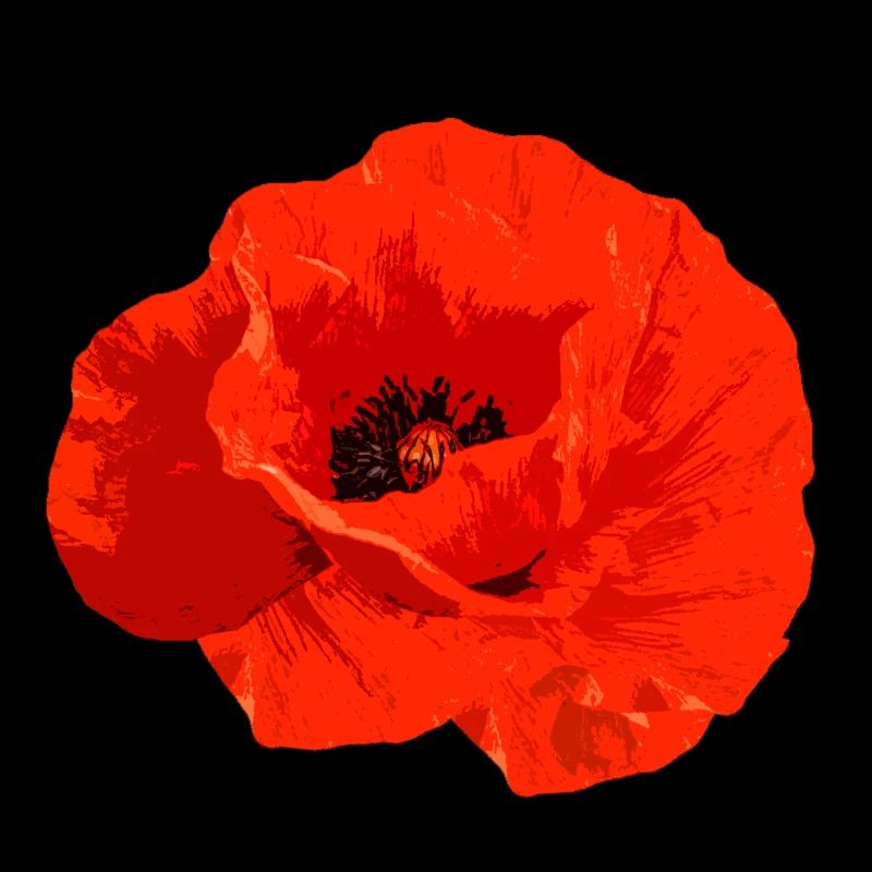 Coquelicot