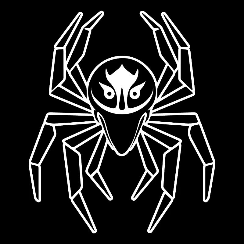 Spider spiders animals