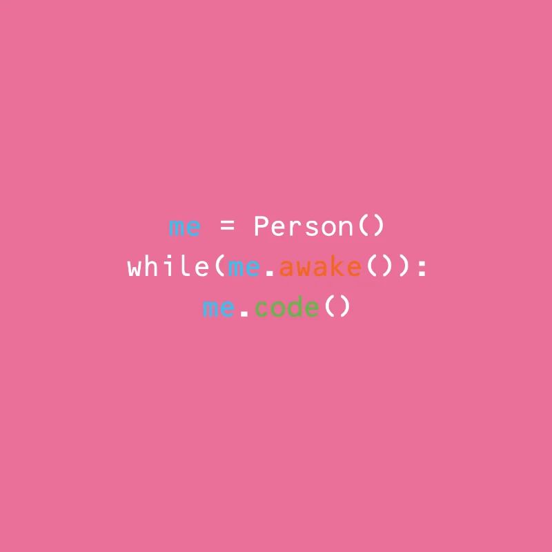 Programmeur