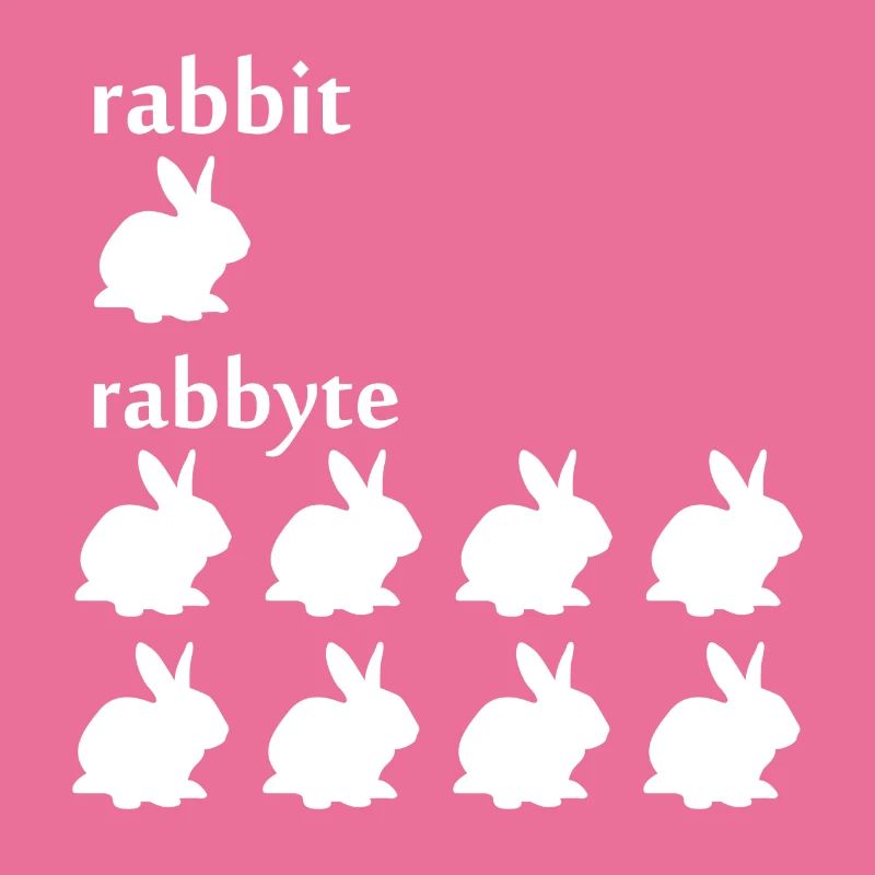 Programmer computer scientist byte rabbit gift