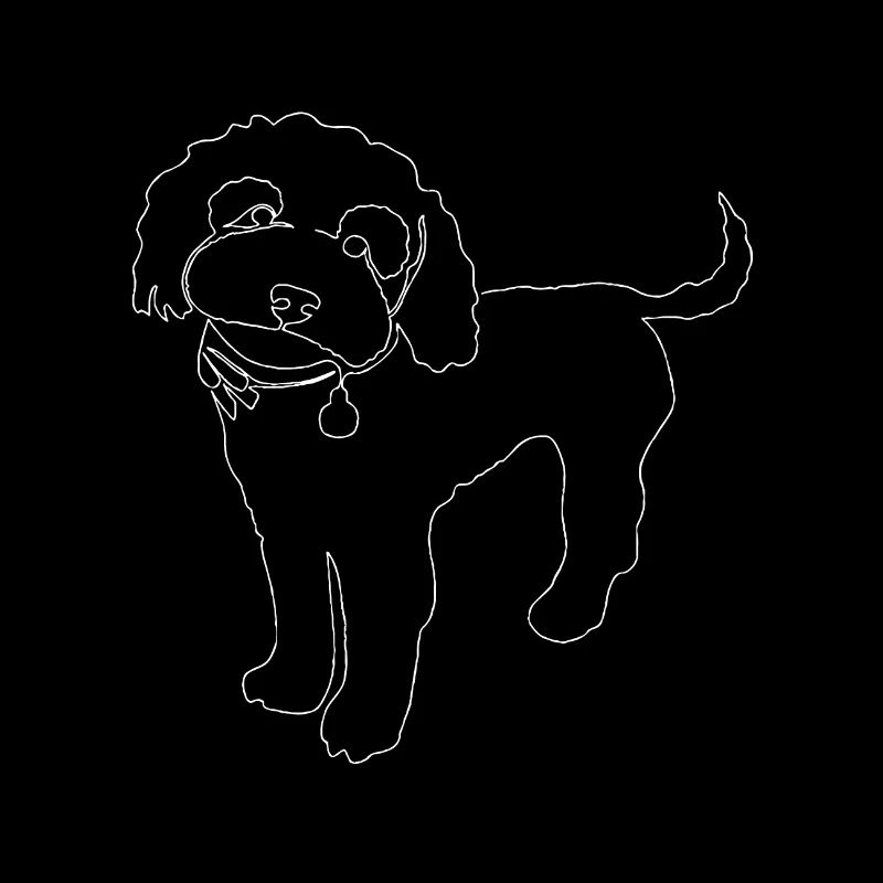 caniche