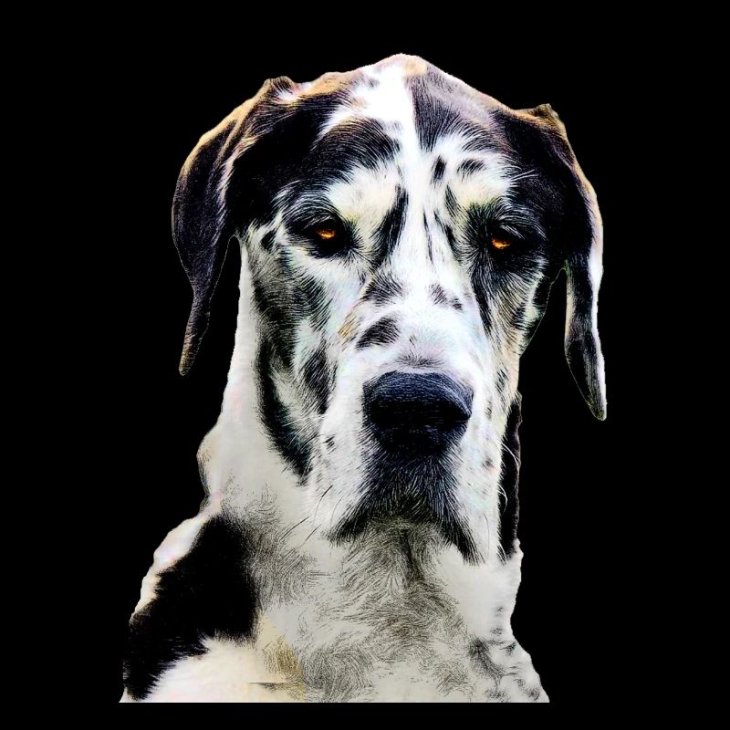 Deutsche Dogge