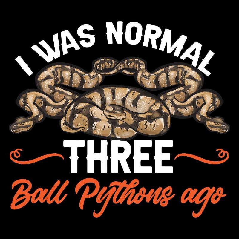Ball Python Schlange Königspython