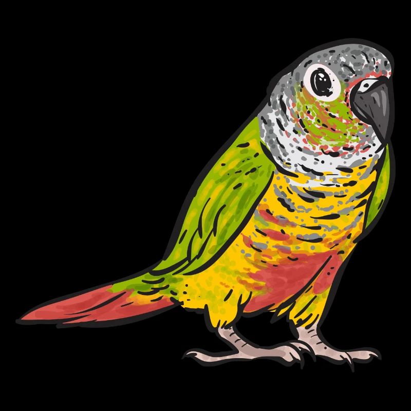 Molina Perruche Perroquet Oiseau Perruche Soleil